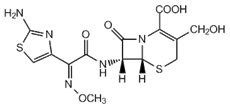 Cefodizime