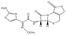 Cefodizime